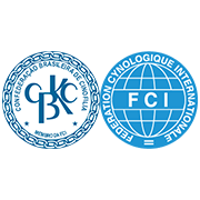 cbkcefci