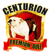 Centurion Premium Bull