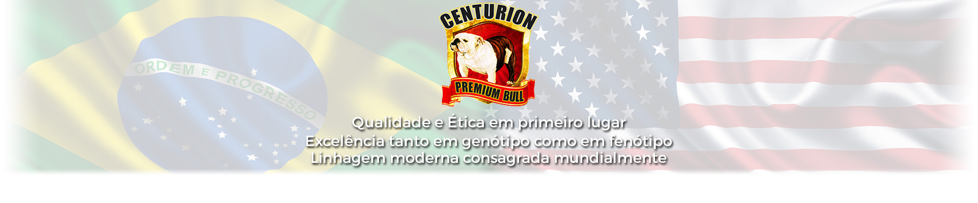 Centurion Premium Bull